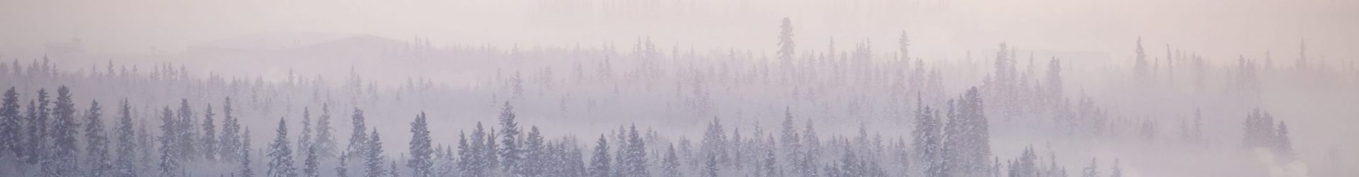 Fairbanks Winter Air Study